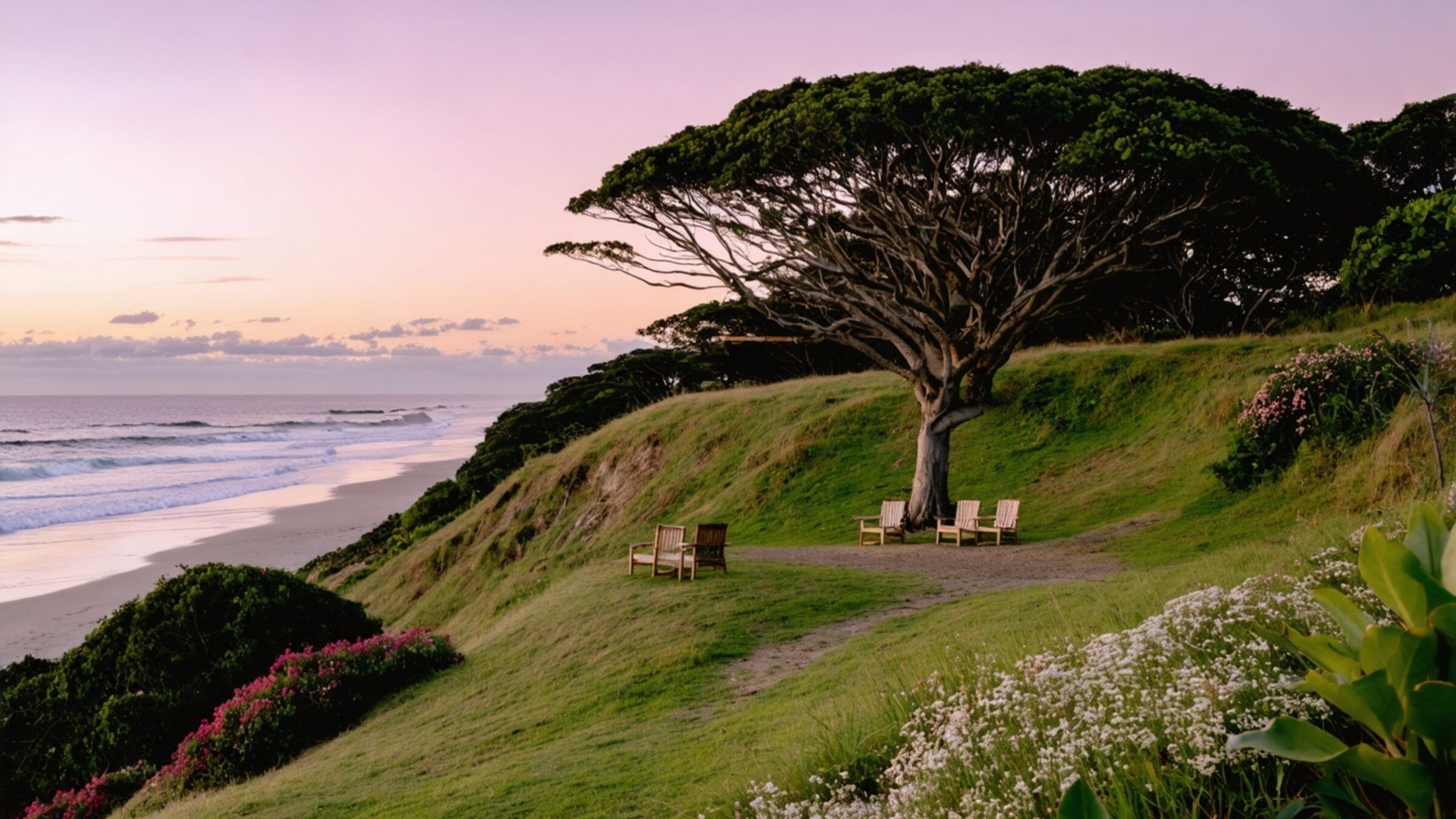 A grassy headland at dusk with pandanus trees, a small floral arbour and empty timber chairs above the sea