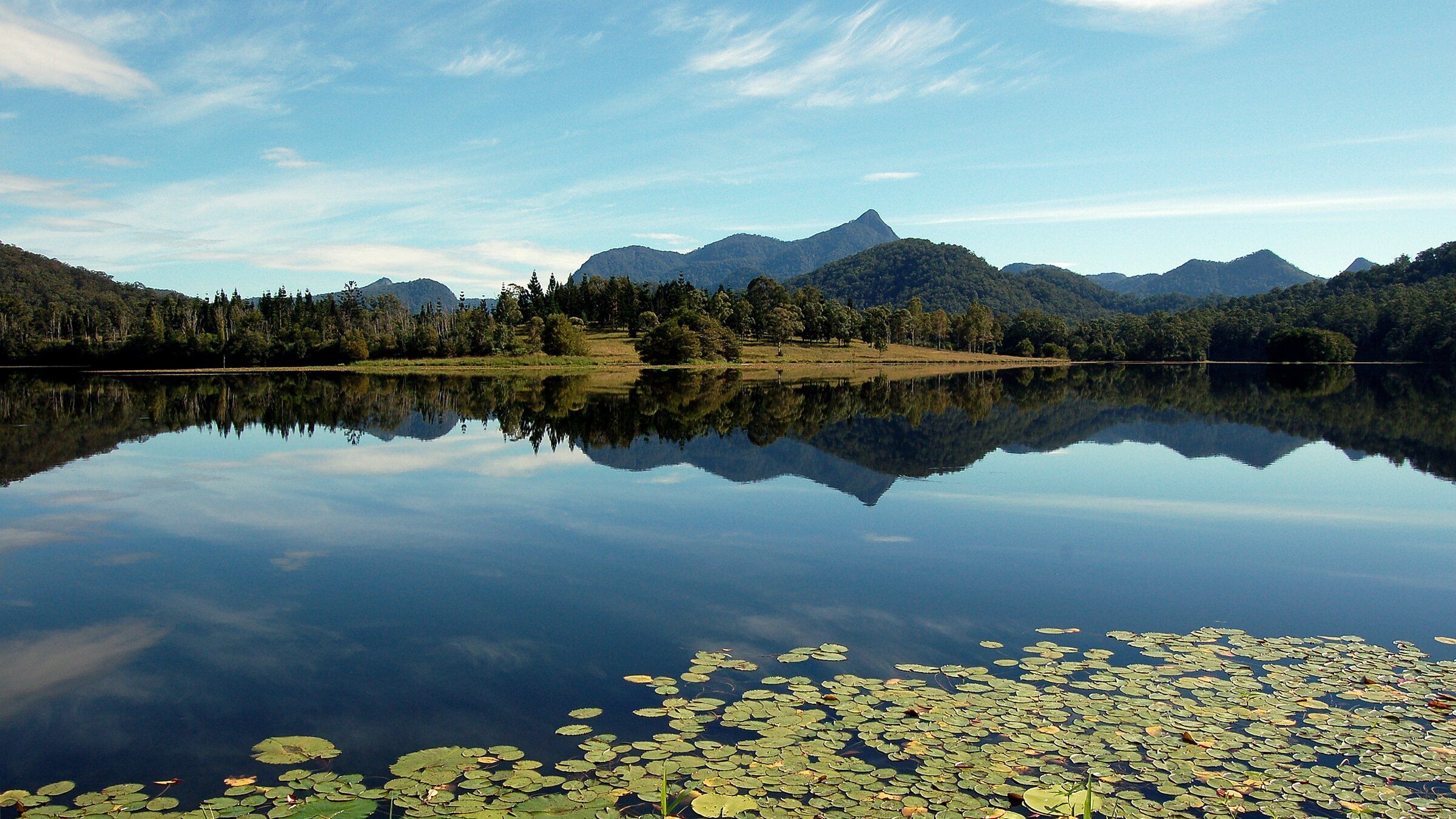 Wollumbin reflected in the still water of Clarrie Hall Dam, water lilies across the foreground and pines along the far bank